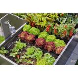 Gardena Стартов комплект Micro-Drip-System за лехи / 35 растения 13455-20