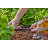 Gardena Т-образен фитинг за разпръсквателни дюзи / крайни капкообразуватели 4,6 мм (3/16") 13216-20