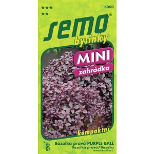 Семена от истинска босилек „Purple Ball“, 20 бр.