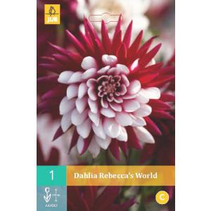 Джорджина REBECCA'S WORLD „B“