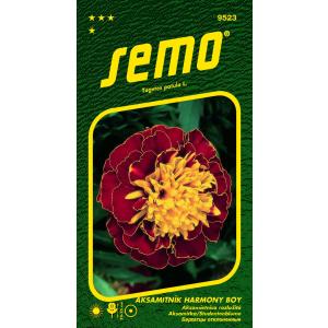Semo Аксамитник разклонен Harmony Boy 30s