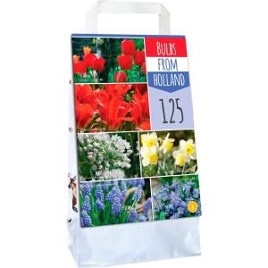 Bulbs From Holland 125 луковици