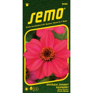 Semo Циния Zahara Raspberry 15s