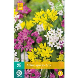 Чесън Allium Species mix „B“