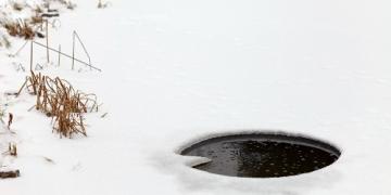 Подготовка на градинското езерце и рибарника за зимата стъпка по стъпка