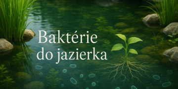 Бактерии за езерцето