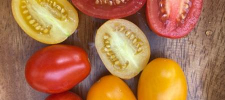 Тествахме различни сортове домати. Кои са най-вкусните?